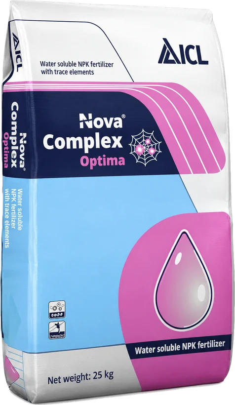 Nova Complex Optima